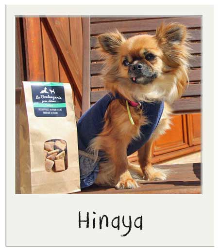 Hinaya avec nos Mini friandises pour chiens Miel
